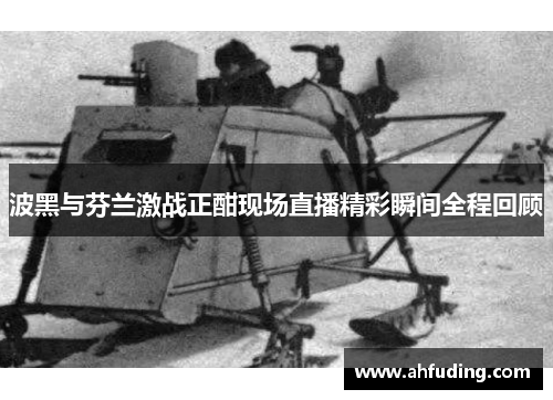 波黑与芬兰激战正酣现场直播精彩瞬间全程回顾